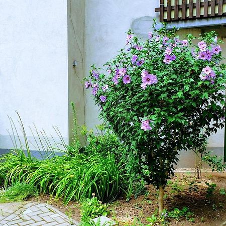 Room In City Center Halle With Shared Bathroom & Kitchen - Free Wifi, Netflix, Ipad & Ground Floor Esterno foto